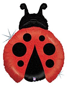 #255 Little Ladybug 23in Supershape