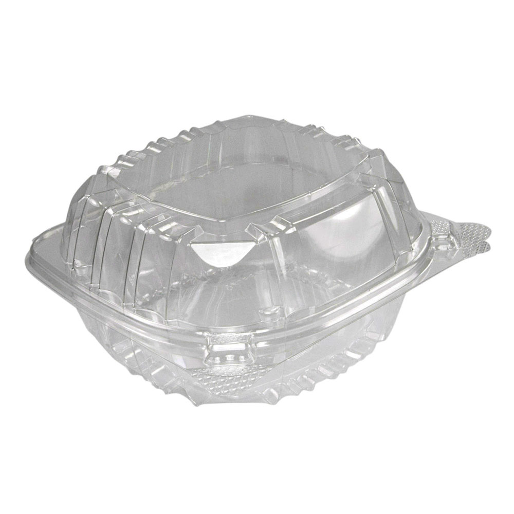 Clear Hinged Plastic Container