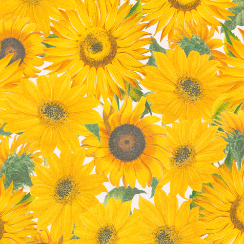 Roll Wrap - Sunflowers 30”x8’