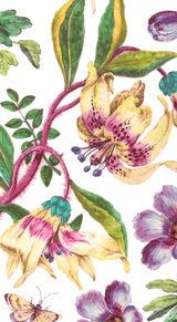 Porcelain Blooms Ivory Tableware