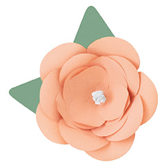 Assorted Color DIY Paper Flower Decoration Kit