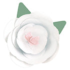Assorted Color DIY Paper Flower Decoration Kit