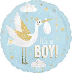 #595 Special Delivery Boy 18in Printed Mylar