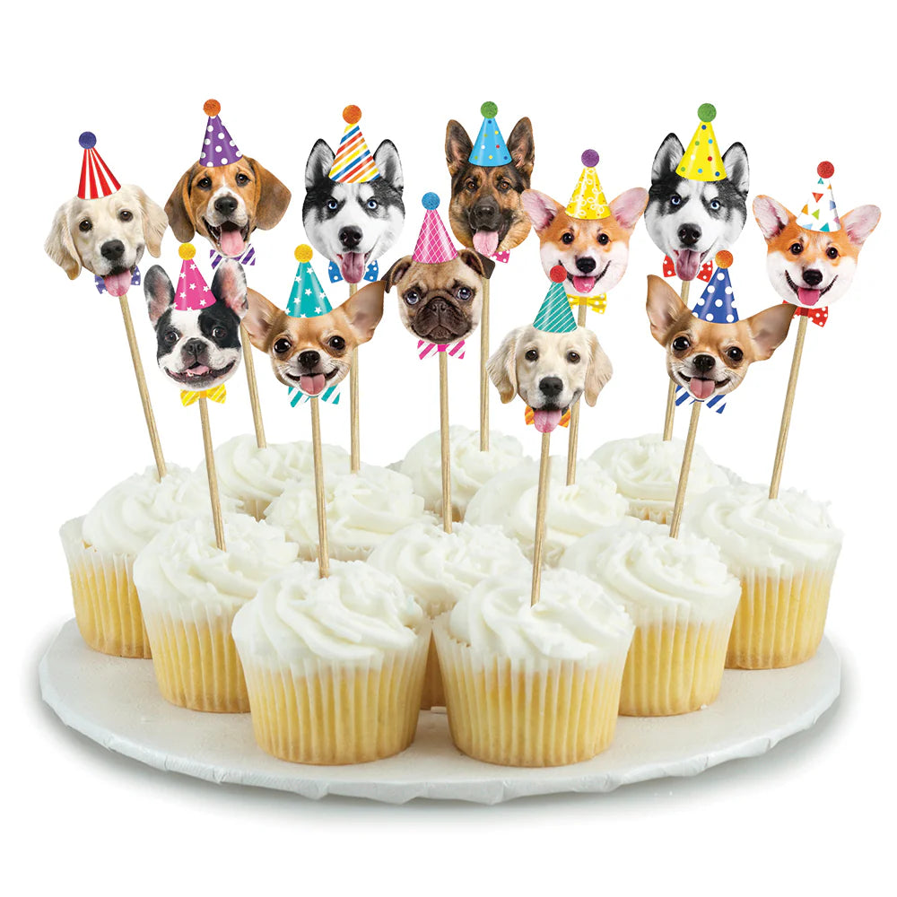 Dogs Party Picks 12ct